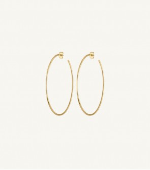 Golden Brass Long Round Earrings